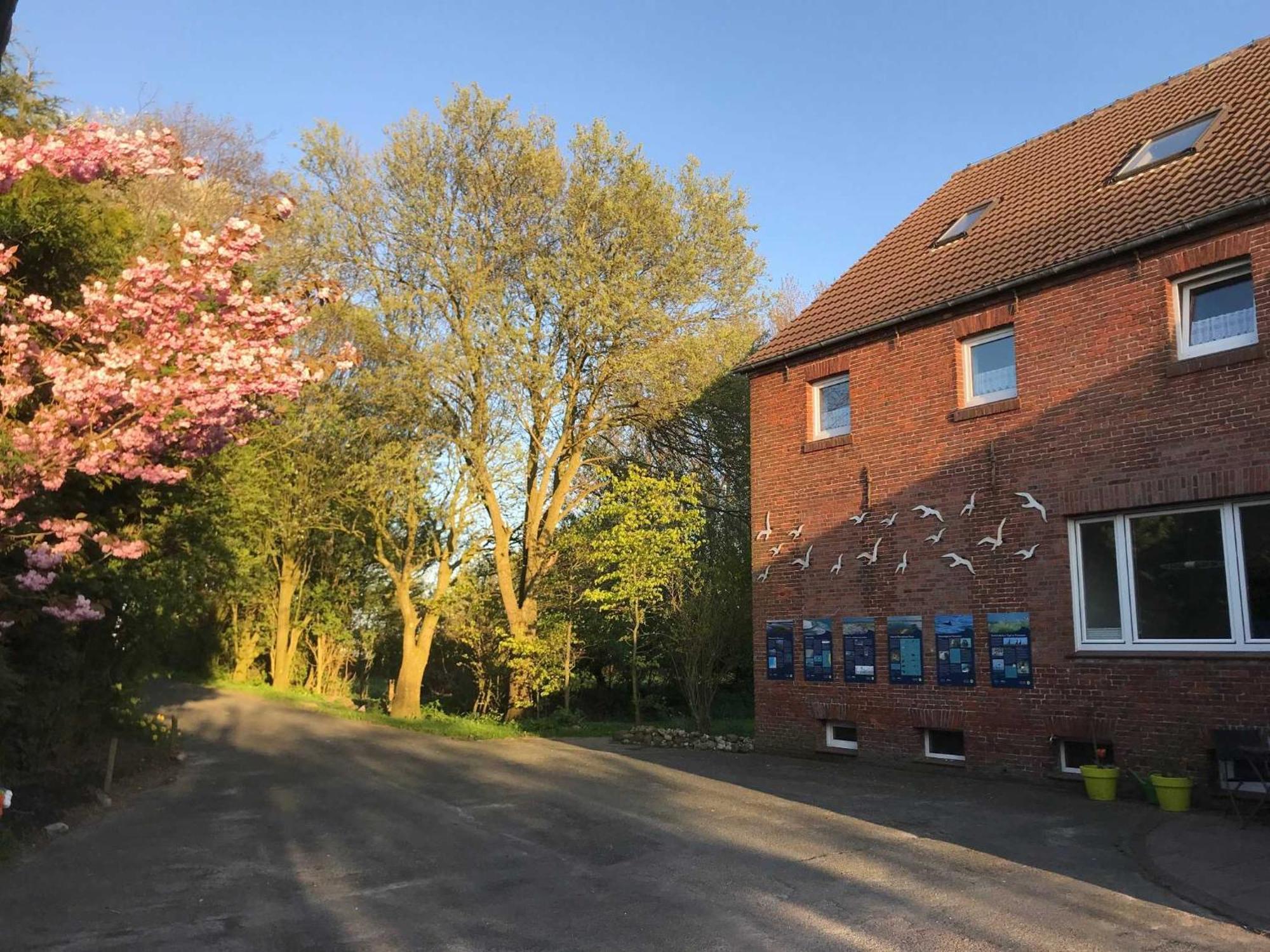 Villa Gulfhof Friedrichsgroden Carolinensiel Esterno foto