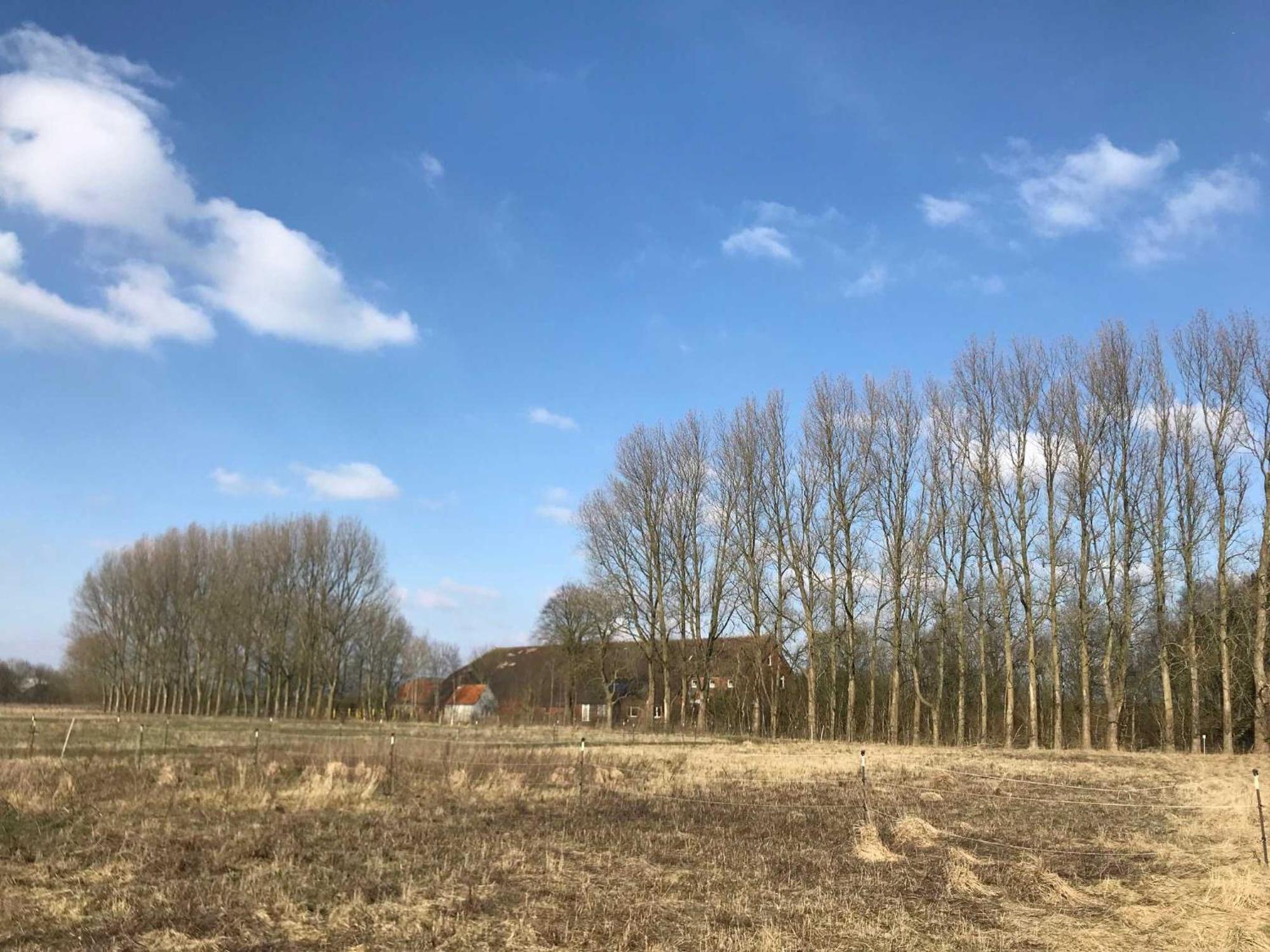 Villa Gulfhof Friedrichsgroden Carolinensiel Esterno foto